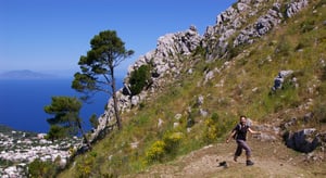 Heather's Recent Interview in Forbes